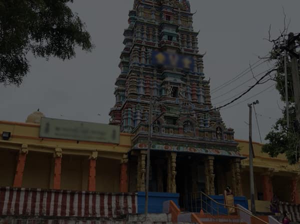 Magadi escorts service