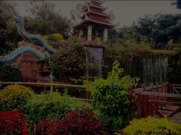 VIP escort services in Nagarbhavi